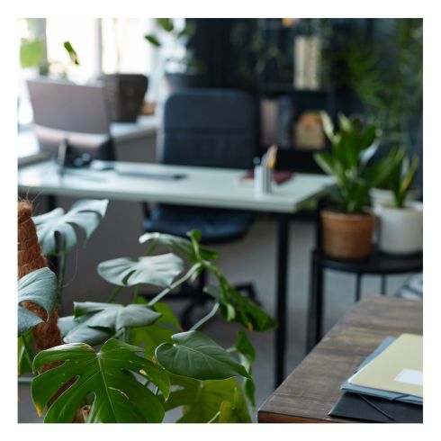 Biophilic 2.0: Συνδυάζοντας τη γήινη στροφή στη διακόσμηση με τεχνολογίες smart home | Artline | Έπιπλα Άργος